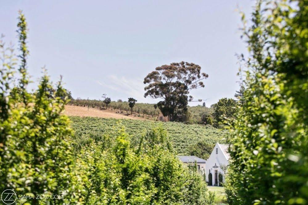 Brenaissance Wine & Stud Estate Hotel Stellenbosch Exterior foto